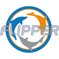 Flipper Cleaner