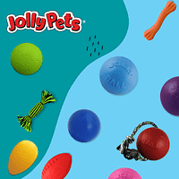 Jolly Pet